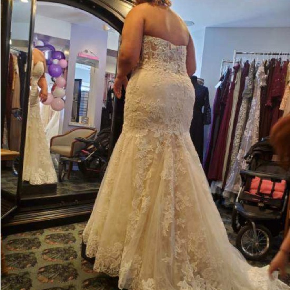Wedding Dress - Picture 4 of 9